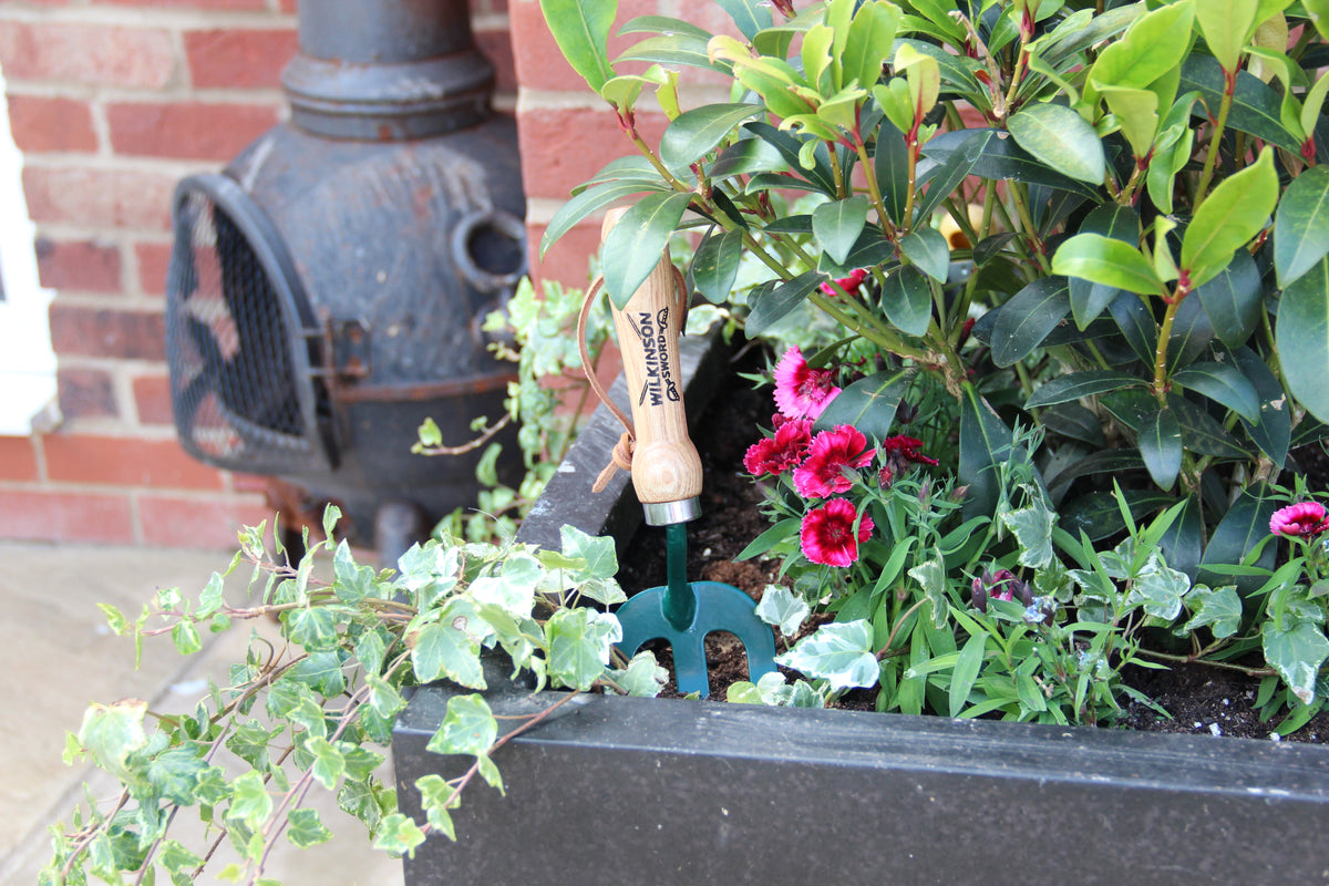 Gardener using Wilkinson Sword weeding fork in a flower bed