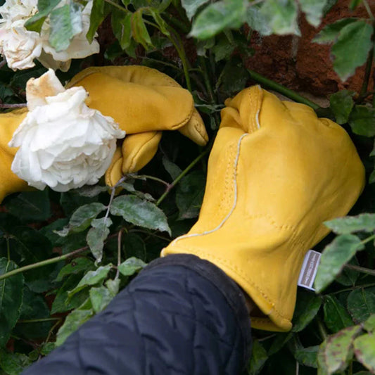 Town & Country Premium Leather Gardening Gloves WolfOnline