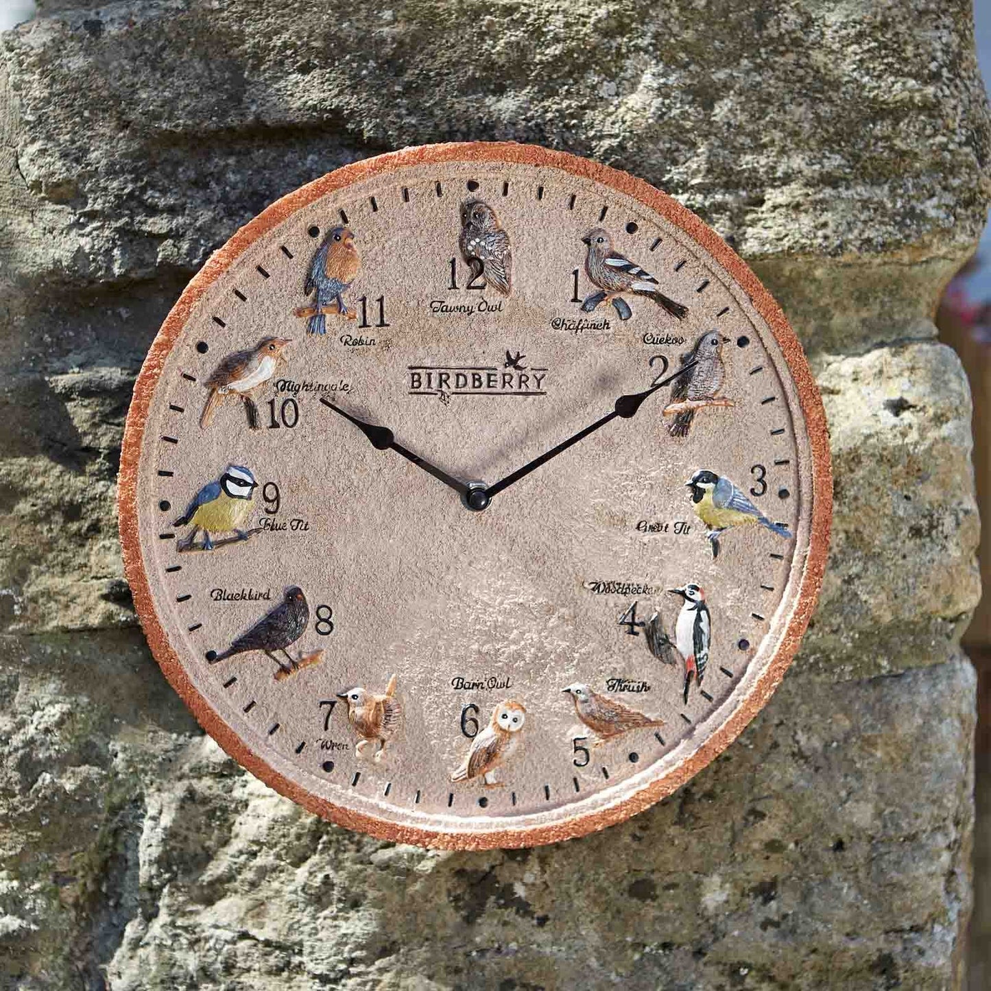 12 Inch Birdberry Wall Clock – Weather Resistant Indoor & Outdoor Garden Clock