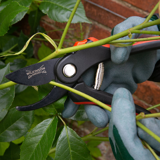 Wilkinson Sword Bypass Pruners