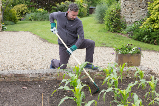 Wilkinson Sword Carbon Steel Draw Hoe