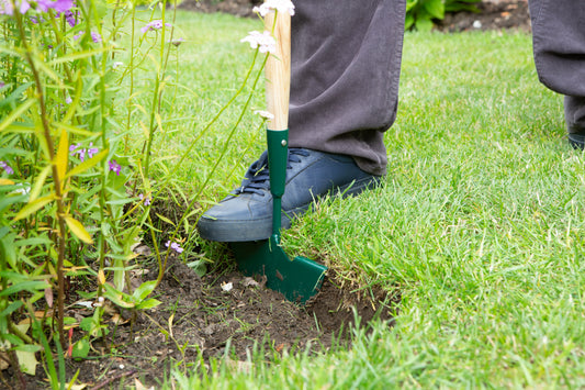 A close-up outdoor shot of a person using a green hand trowel to dig a hole in a grassy garden bed next to plants.