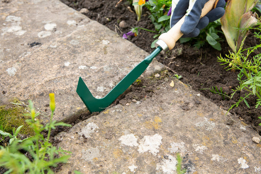 Gardener using Wilkinson Sword patio scraper to remove weeds from paving joints