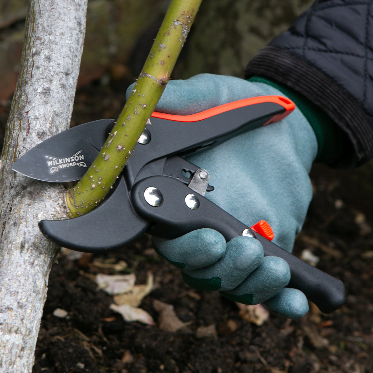 A close-up of a hand wearing a teal gardening glove holding a pair of Wilkinson pruning shears with black and orange handles, cutting a green branch from a tree trunk outdoors.