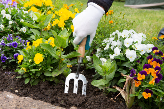 A close-up of a hand wearing a white gardening glove holding Stainless steel hand fork for planting, cultivating and weeding flower beds, planting or edging in a garden bed filled with yellow, white, and purple flowers.