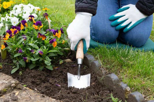 Person planting flowers with a Stainless steel garden hand trowel for planting bulbs, seedlings and bedding plants in a garden