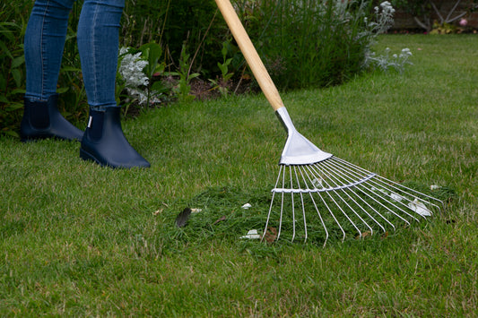 Person using a wide 45cm lawn rake for clearing leaves, moss and garden debris.on grass with tools and plants in the background