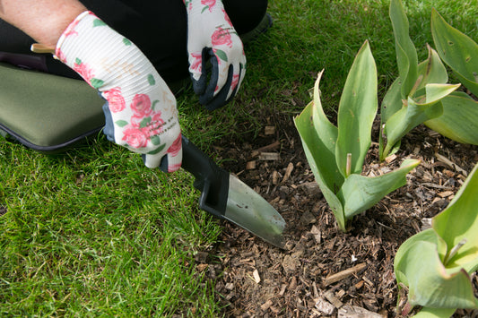A close-up of a person kneeling in a garden, using a small hand trowel to dig around tulip plants. The person is wearing white gardening gloves with a pink rose pattern, and the scene is set on green grass and mulch.
