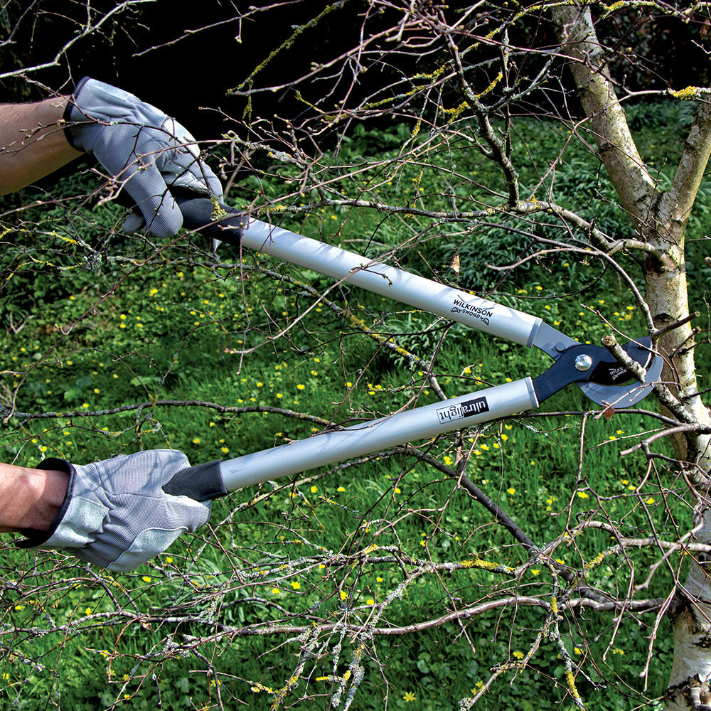 Close up of Wilkinson Sword loppers cutting a garden stem