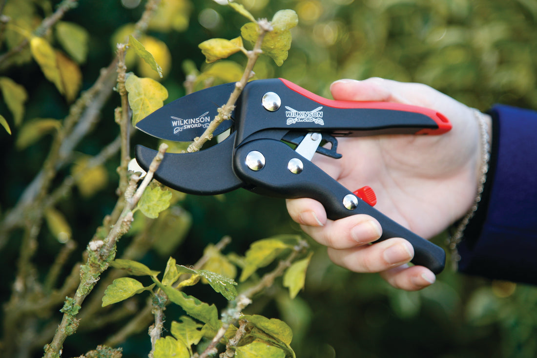 Wilkinson Sword bypass pruners cutting live plant stem