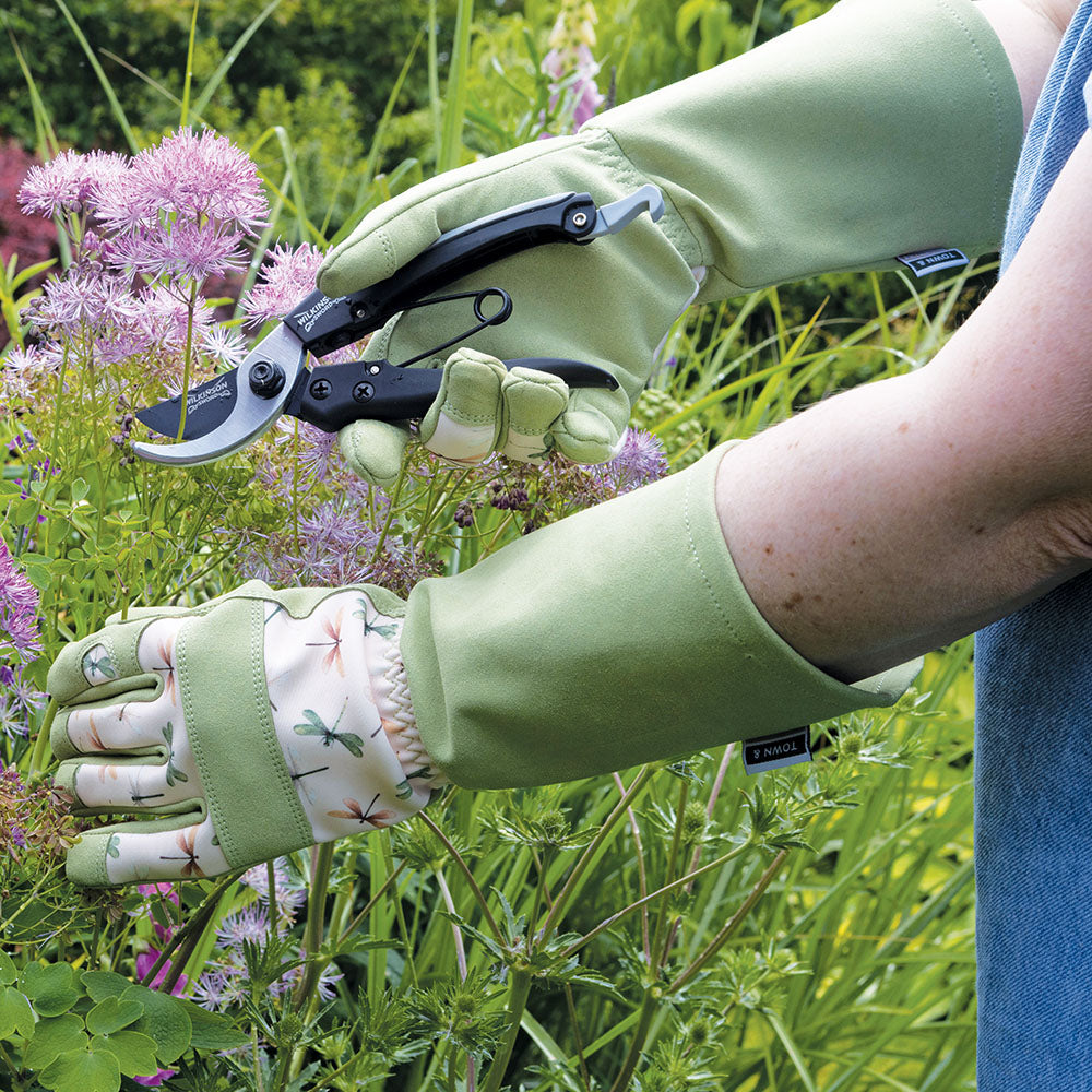 A person using sharp bypass pruners to trim a rose bush in a sunny garden