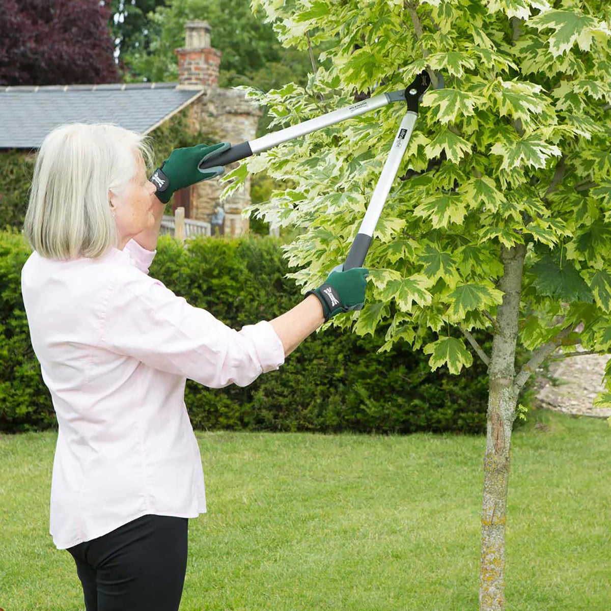 A lady using Wilkinson Sword Ultralight Bypass Loppers cutting green branches with precision blades by cutting a branch in a tree stood in a garden