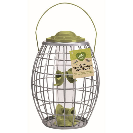 Wild bird seed feeder for blue tits and robins