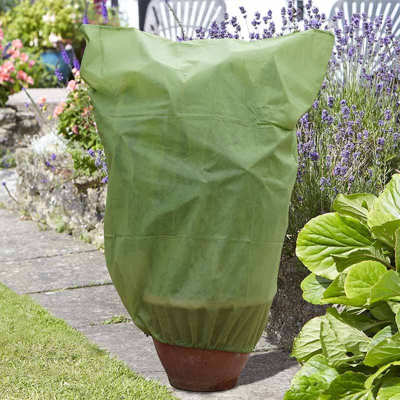 An olive green fabric plant cover draped over a terracotta pot, set in a garden next to a stone path, lavender, and green foliage.