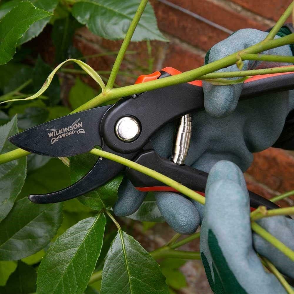 Person using WWilkinson Sword Bypass Pruners and Anvil Pruners Twin Pack with ergonomic handles for pruning live stems, shrubs and dead branches to trim green branches with gloves on.