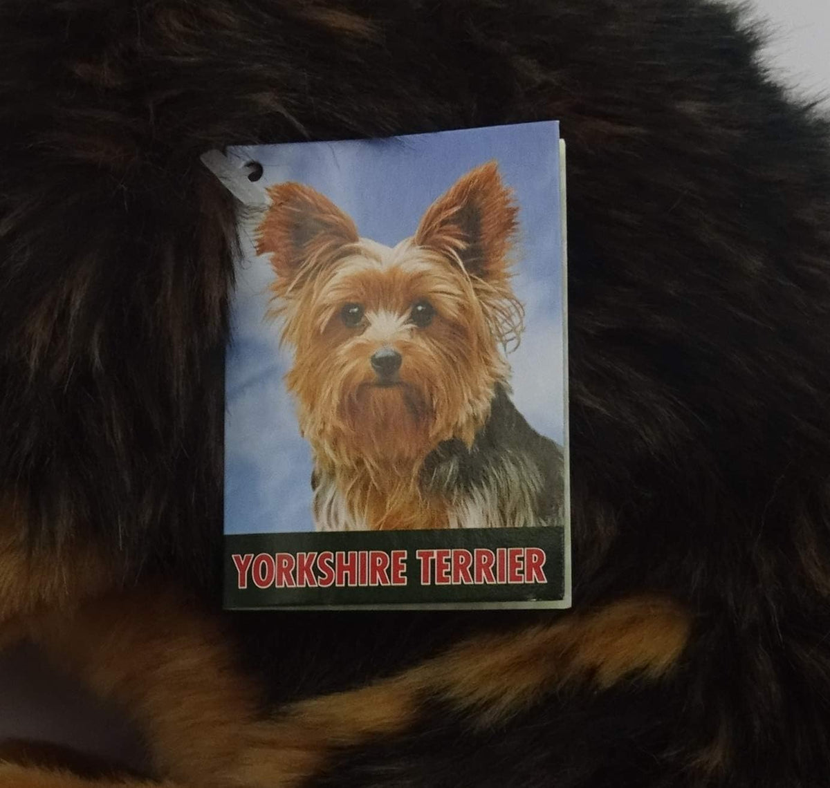 A small printed tag featuring a Yorkshire Terrier portrait with the text 'YORKSHIRE TERRIER' at the bottom, placed over dark fur.