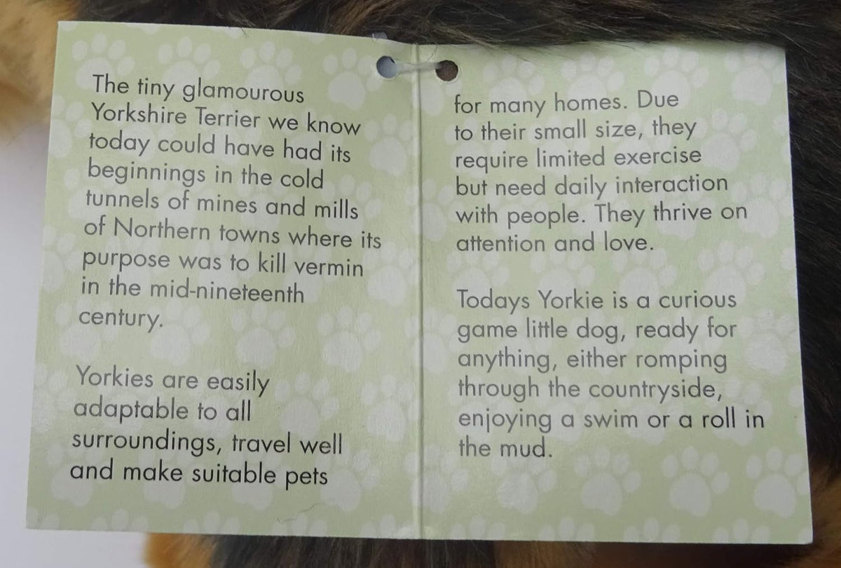 A printed paper card with a pale green floral border and black text about Yorkshire Terriers, photographed against a dark brown furry surface.