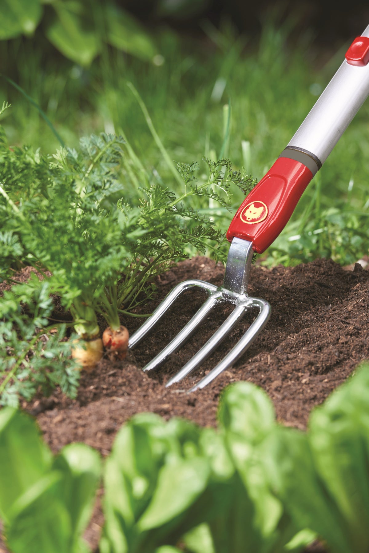 WOLF-Garten LUGM Multi-Change® Hand Fork 7.5cm & ZMAD Aluminium D-Grip Handle (80cm) WolfOnline