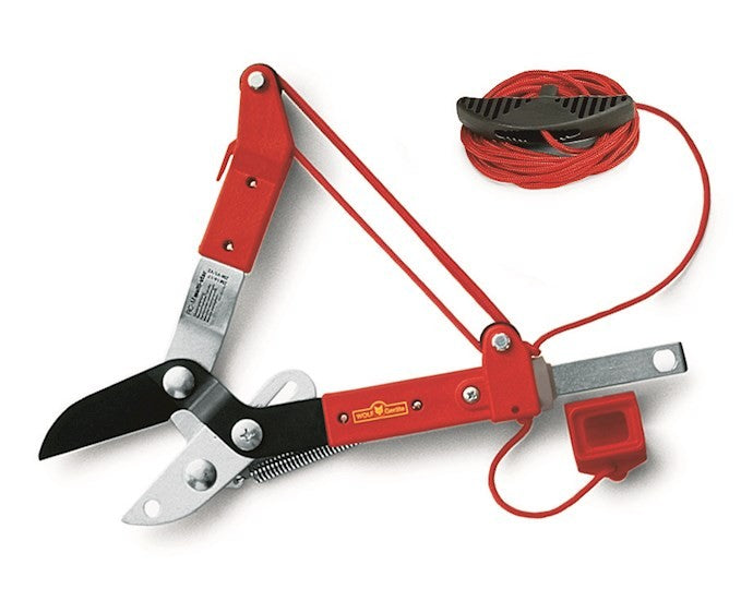 WOLF-Garten Multi-Change® RCM Anvil Tree Lopper & ZMV4 Telescopic Handle WolfOnline