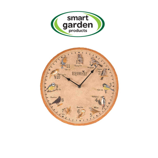 12 Inch Birdberry Wall Clock – Weather Resistant Indoor & Outdoor Garden Clock