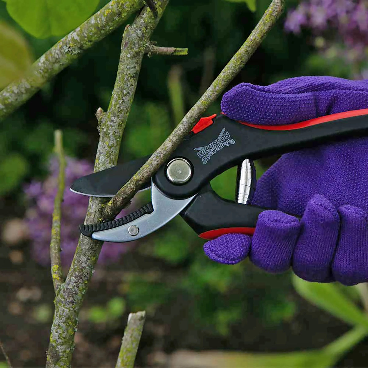 Hand wearing a purple glove using garden shears to trim branches with a blurred natural background