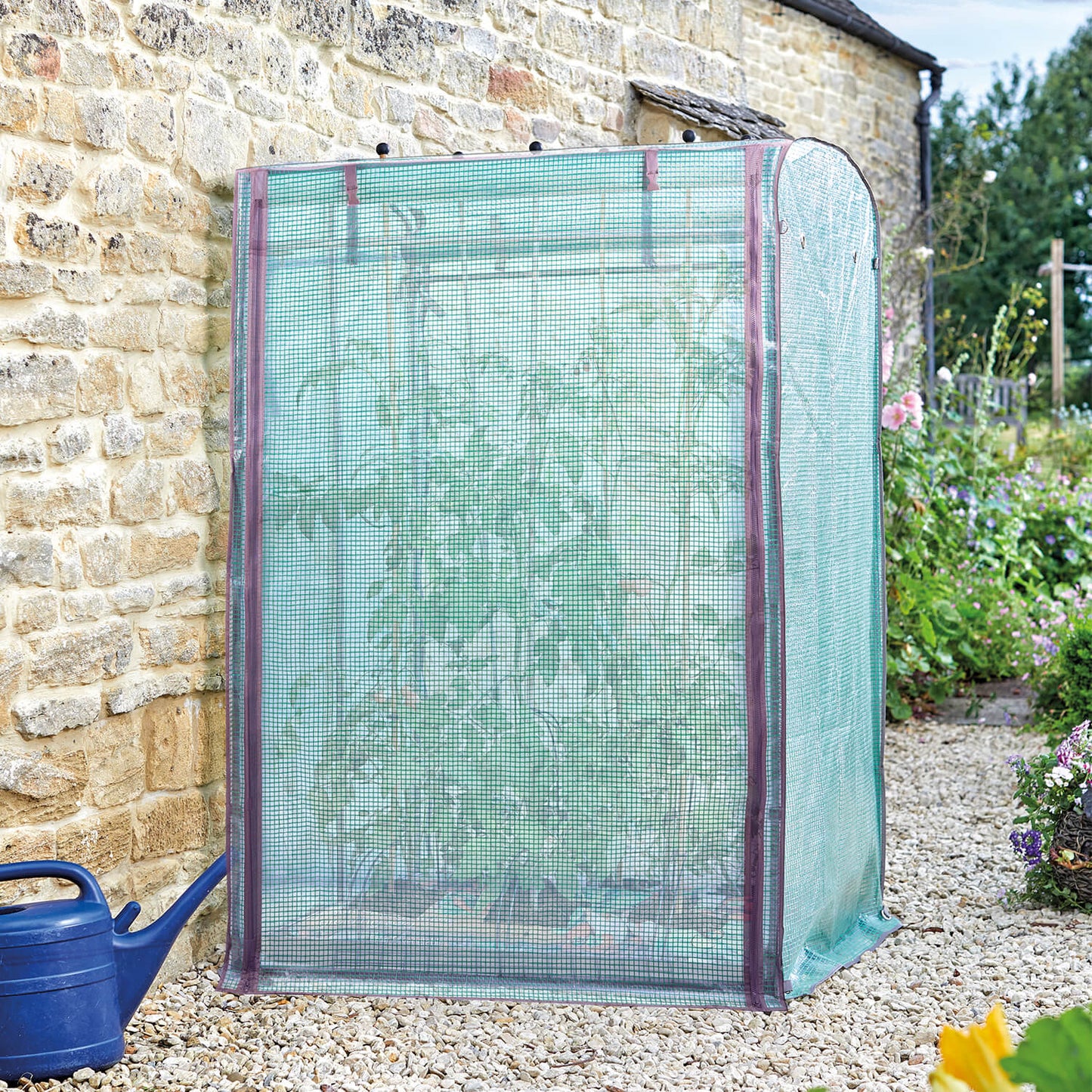A small arched greenhouse with a light green mesh cover and dark trim, set outdoors against a stone wall in a garden. A blue watering can is visible at the lower left, and flowers and plants appear in the background.