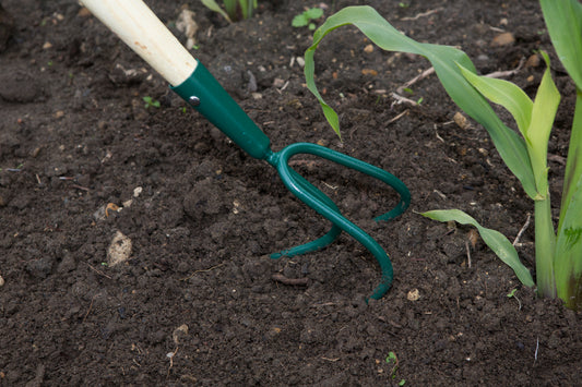 Fan-shaped carbon steel 3 prong cultivator head with green epoxy coating