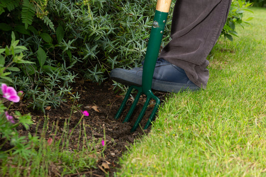 Carbon steel border fork for digging and soil preparation