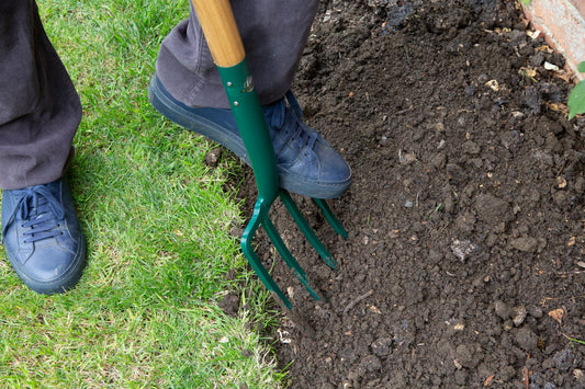 A close-up of a person using a green hand fork garden tool to loosen dark soil next to green grass, with their legs and blue shoes visible.