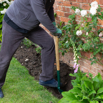 A person gardening in a brick garden bed, using a hand tool with a wooden handle and green base to dig into soil next to a brick wall with climbing white flowers.