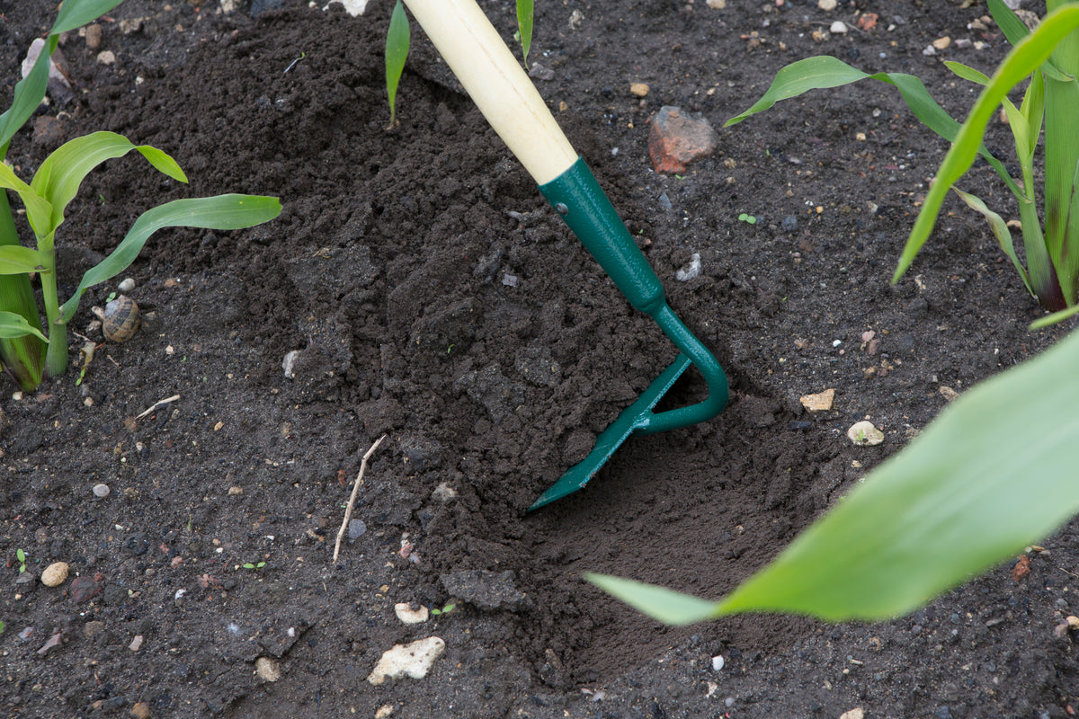 Wilkinson Sword Carbon Steel Draw Hoe