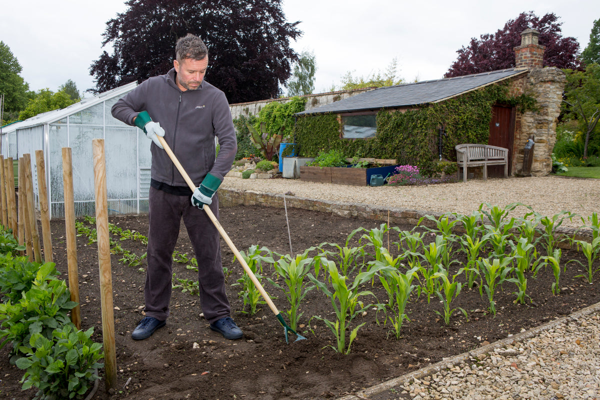 A man wearing a dark gray zip-up hoodie, dark trousers, and green gloves is gardening in a raised bed with young green plants, using a long-handled tool in a backyard garden setting with a greenhouse and stone house in the background.