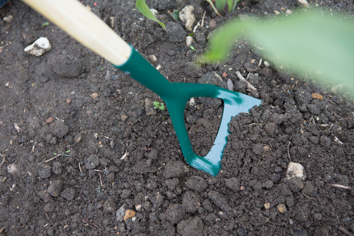Close-up of flat carbon steel blade removing weeds