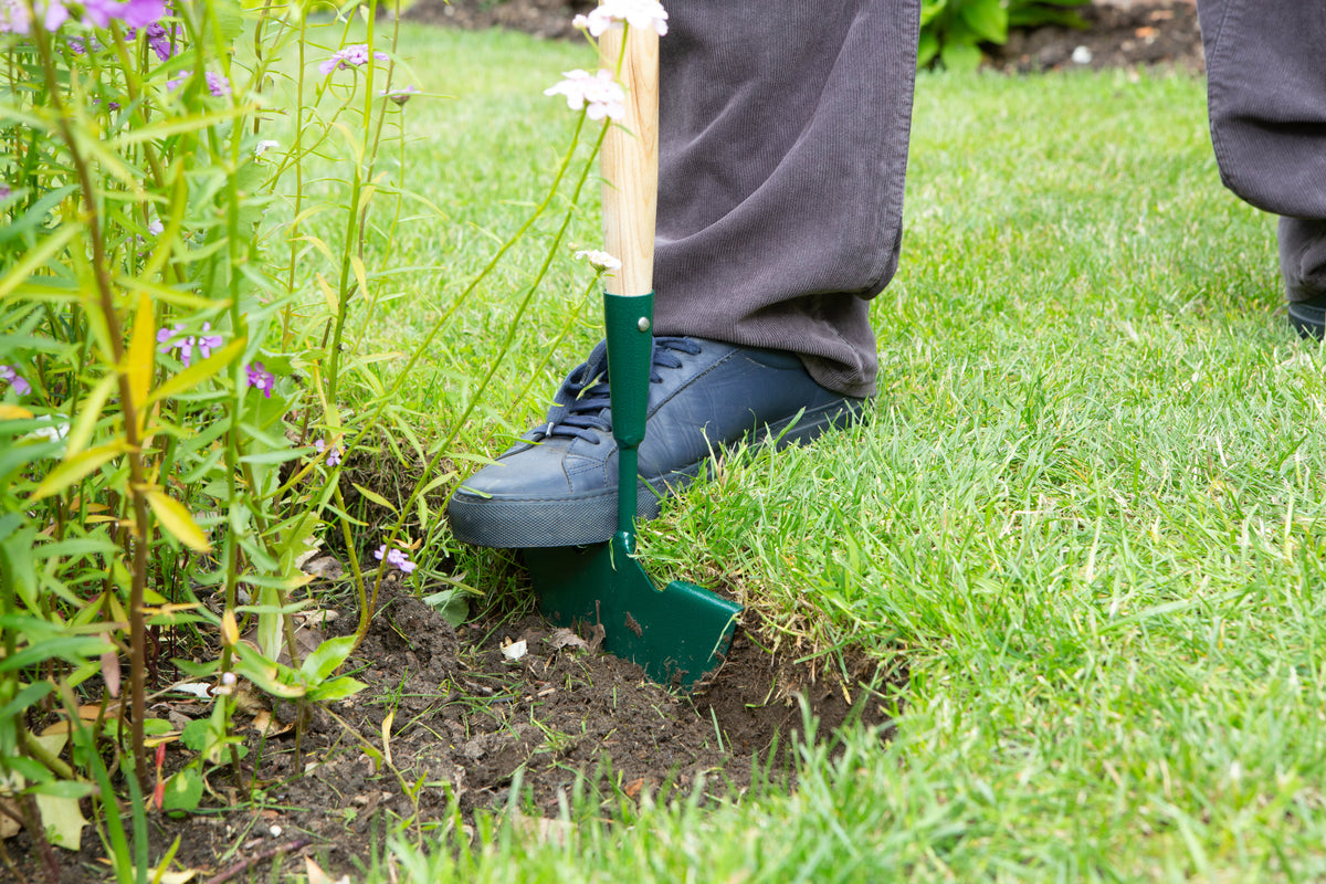 A close-up outdoor shot of a person using a green hand trowel to dig a hole in a grassy garden bed next to plants.