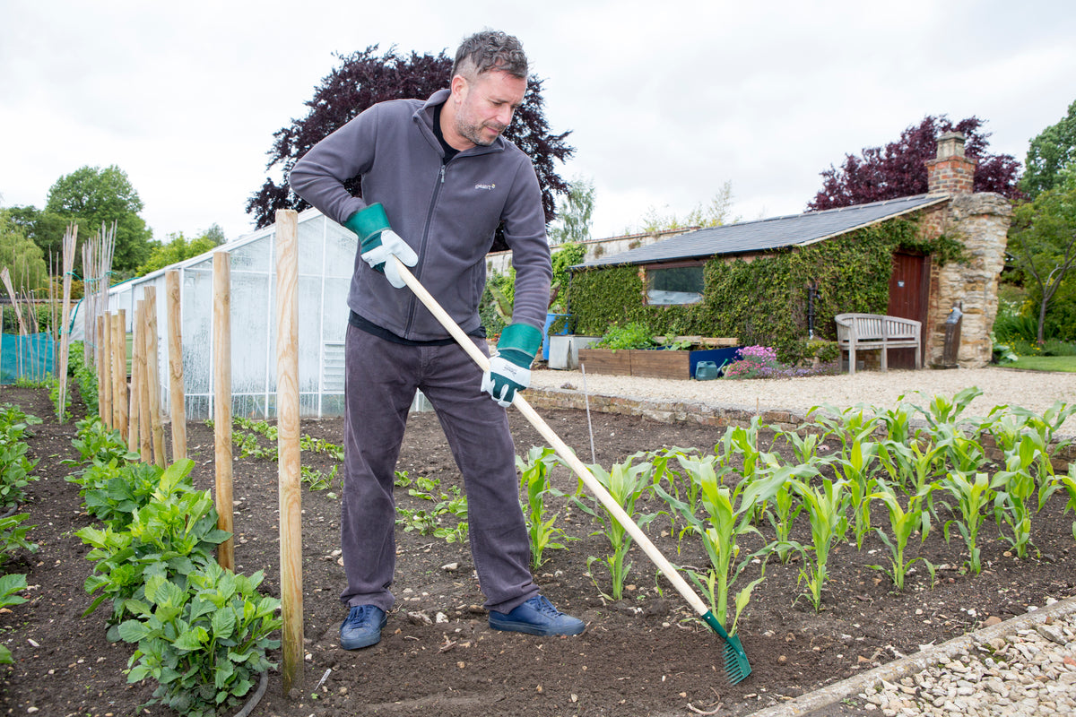 A man wearing a dark gray fleece and trousers is gardening in a community garden, using a long-handled spade to turn the soil next to rows of young green plants.