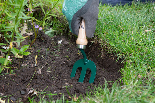 Carbon steel weeding fork for loosening soil and removing weeds