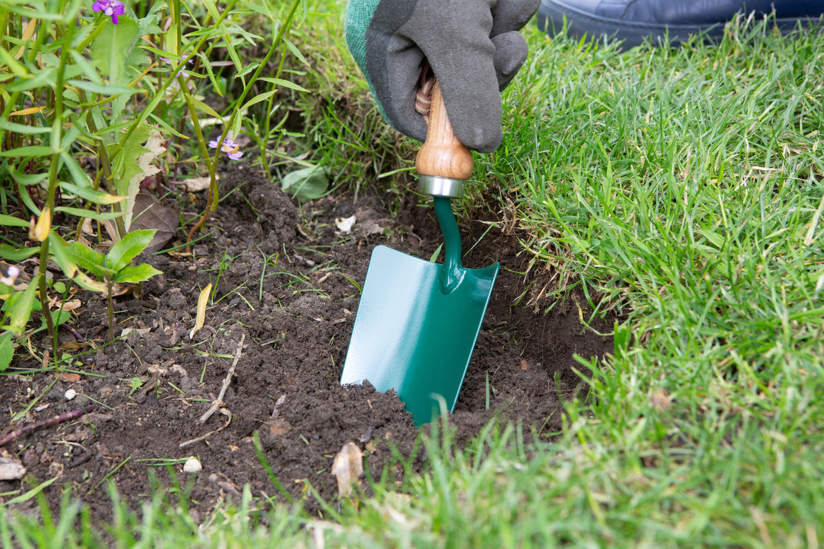 Gardener using Wilkinson Sword hand trowel to plant bulbs in flower bed