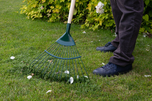 A green garden rake with a light-colored wooden handle is being used on a grassy lawn, with a person's legs and shoes visible standing beside it.