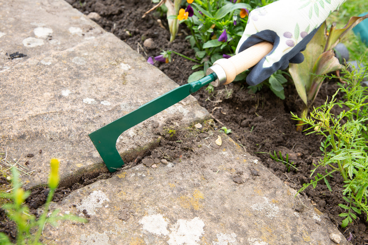 Gardener using Wilkinson Sword patio scraper to remove weeds from paving joints