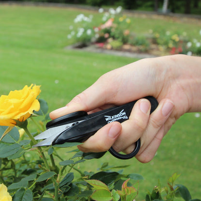 Hand using Wilkinson scissors to trim a yellow rose in a garden setting