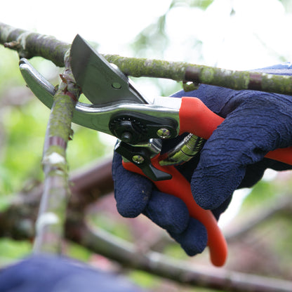 Close-up of pruning shears being used to cut a branch, held by a hand wearing a dark blue textured work glove in an outdoor garden setting.
