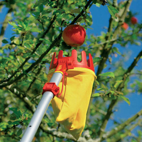 WOLF-Garten Multi-change® Adjustable Fruit Picker RGM & ZMV3 Telescopic Handle 170-300cm - Extendable Aluminium Pole WolfOnline