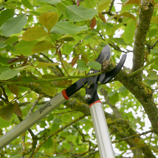Wilkinson Sword Geared Bypass Loppers