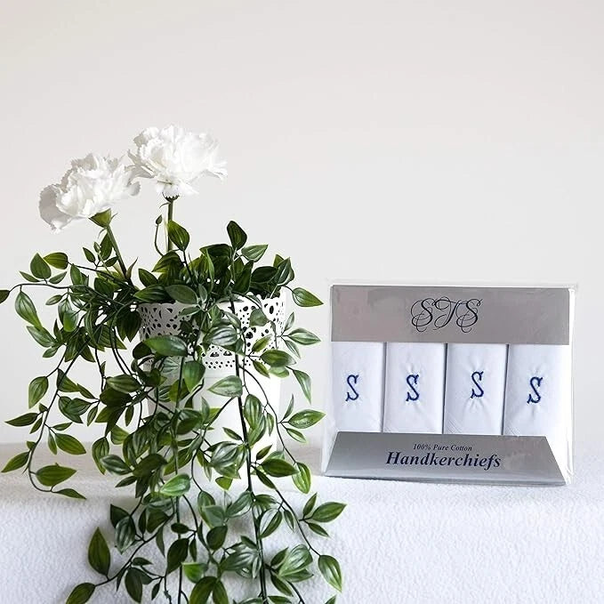 A boxed set of four white handkerchiefs with blue embroidered letters 'S', displayed next to a green leafy plant on a white surface against a white wall.