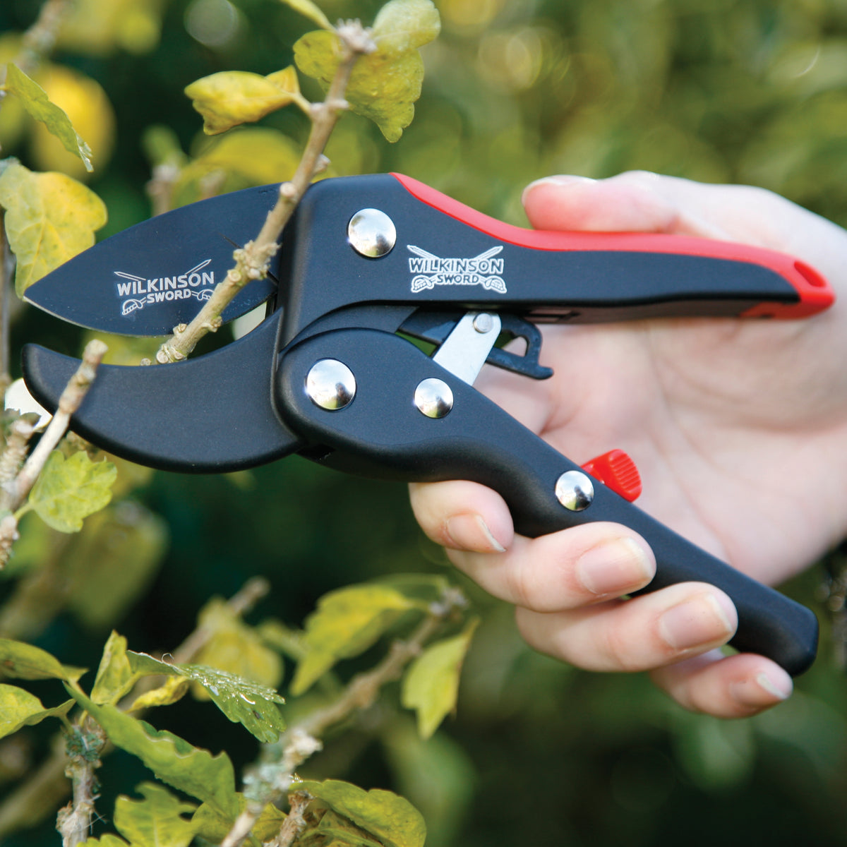 A hand holding a pair of Wilkinson garden shears pruning tool against green foliage.