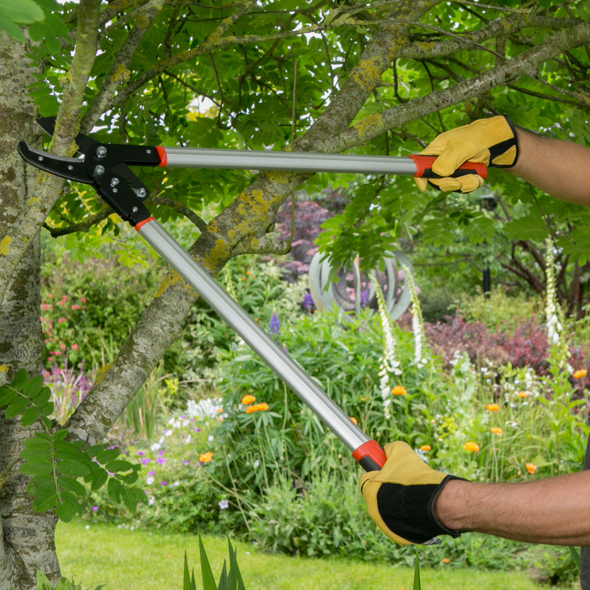 A person wearing yellow and black gardening gloves uses long-handled pruning shears to trim a tree in a lush green garden.