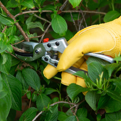 Wilkinson Sword Razorcut Comfort Anvil Pruners