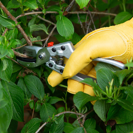 Wilkinson Sword Razorcut Comfort Anvil Pruners
