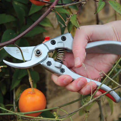 Wilkinson Sword Razorcut Comfort Medium Bypass Pruners
