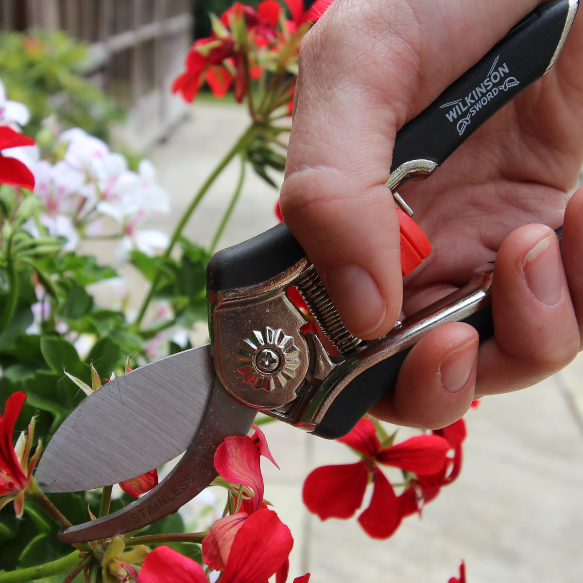 A close-up of a hand holding a Willanson Pruning Shears garden tool while cutting red flowers in a garden.